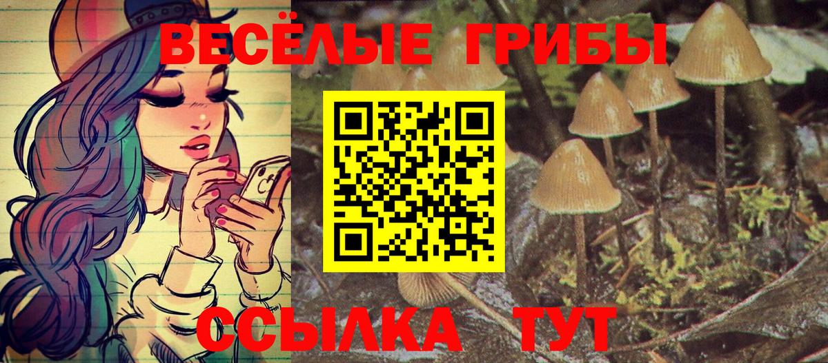 Псилоцибиновые грибы Cubensis Кинешма