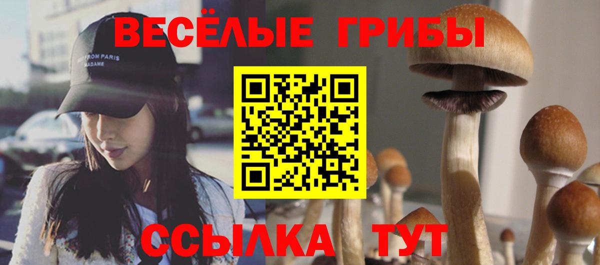 Кинешма  Галлюциногенные грибы мицелий  Галлюциногенные грибы MAGIC MUSHROOMS  Вход с VPN 